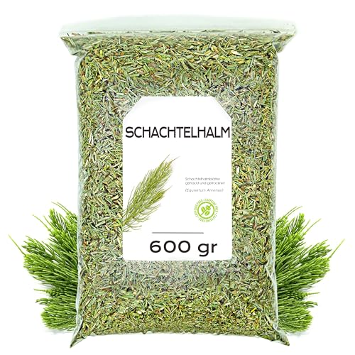 Schachtelhalmtee 600 gr - Schachtelhalmkraut Infusion - Schachtelhalm Geschnitten Tee - Harntreibende Eigenschaften - Infusion Kräutertee (600 gr) von EPEL