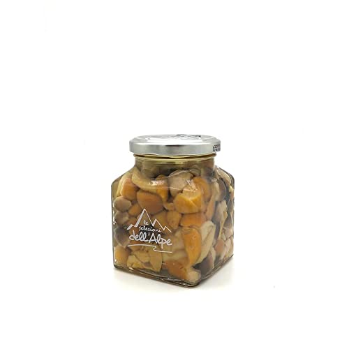 Errepi - Pilzmischung mit Steinpilzen - tris di funghi con porcini - 1 x 290g von ERREPI