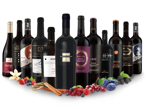 Primitivo - Entdeckerpaket | 12 Rotweine aus Italien | (12x 0,75l) von Ebrosia