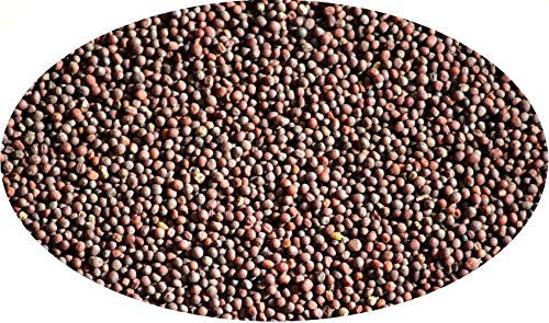 Eder Gewürze - Braunsenfsaat -5kg / Senfkörner braun von Eder Gewürze