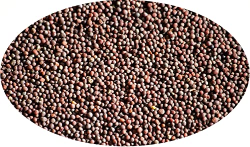 Eder Gewürze - Senfkörner braun / Braunsenfsaat - 1kg Gewürze von Eder Gewürze