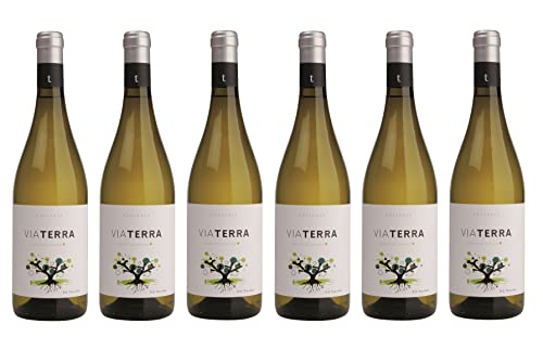 6x 0,75l - Edetària - Via Terra - Blanco - Terra Alta D.O.P. - Spanien - Weißwein trocken von Edetària