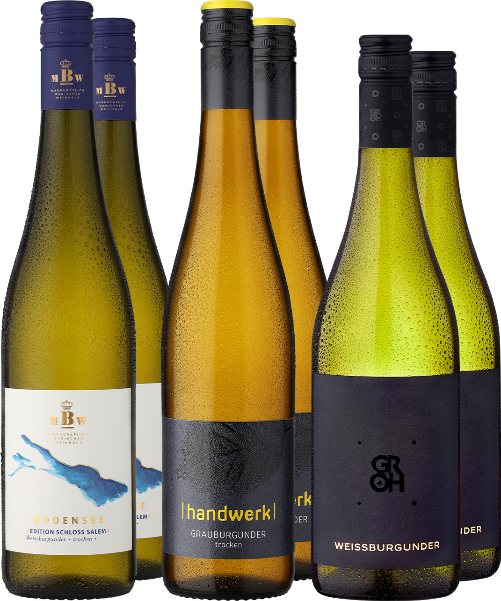 6er-Probierpaket »Best of Burgunder« 6er-Probierpaket »Best of Burgunder« von Eggers und Franke GmbH