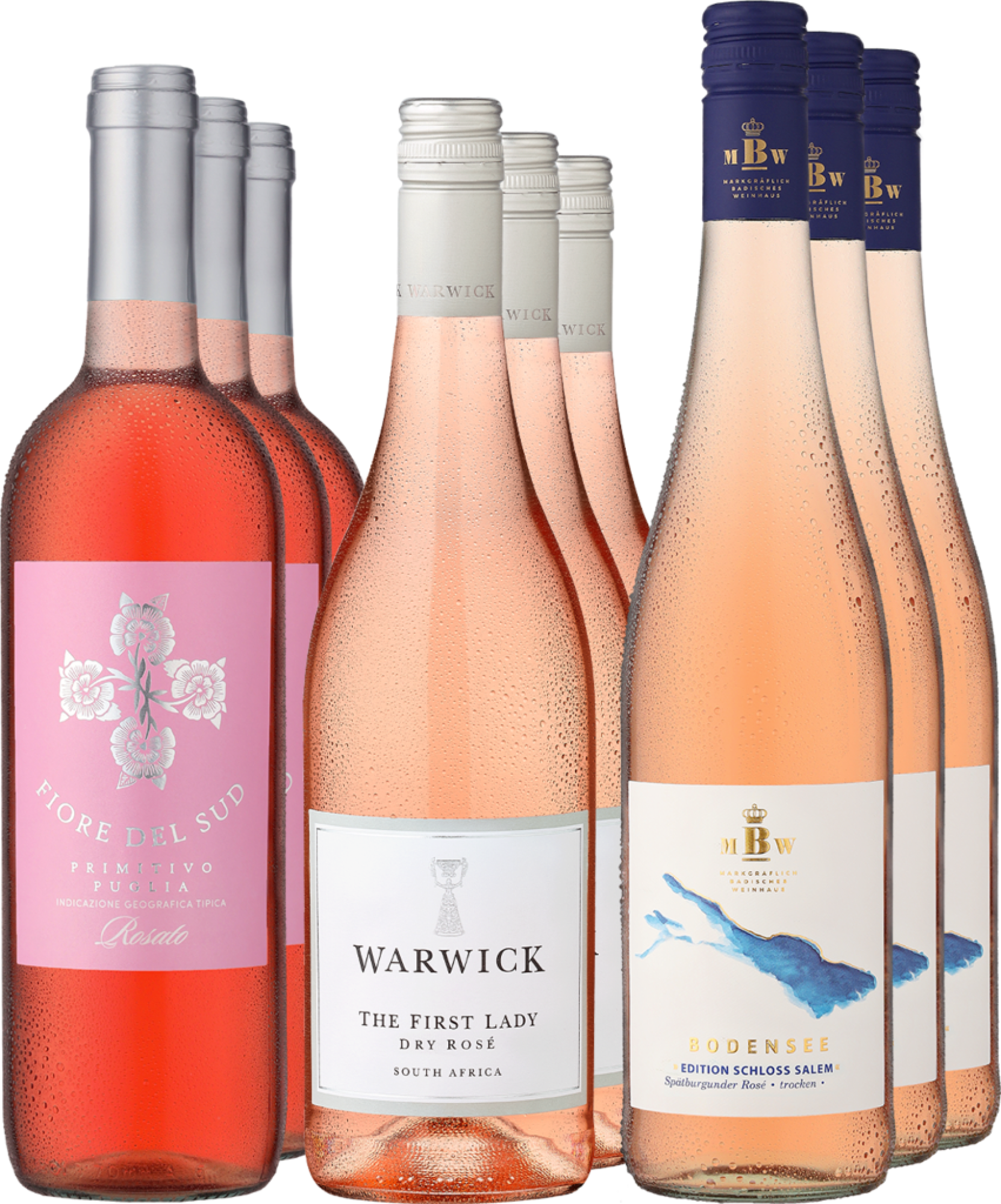 9er-Probierpaket »Roségenuss für den Sommer« 9er-Probierpaket »Roségenuss für den Sommer« von Eggers und Franke GmbH