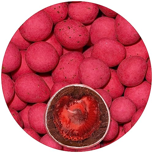 EinsSein 0,5kg Schokofrüchte Erdbeere kandiert rot matt Schokolade Rohkostschokolade überzogen Früchte Erdbeeren von EinsSein