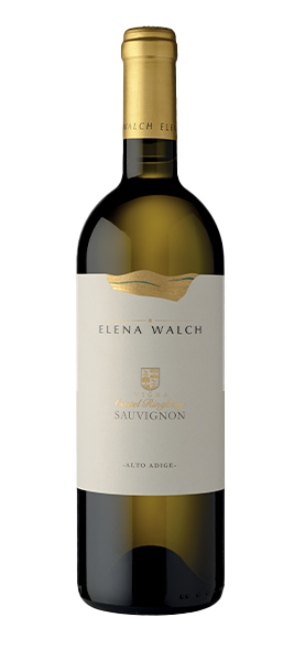 Sauvignon Vigna 'Castel Ringberg' Alto Adige DOC 2022 von Elena Walch