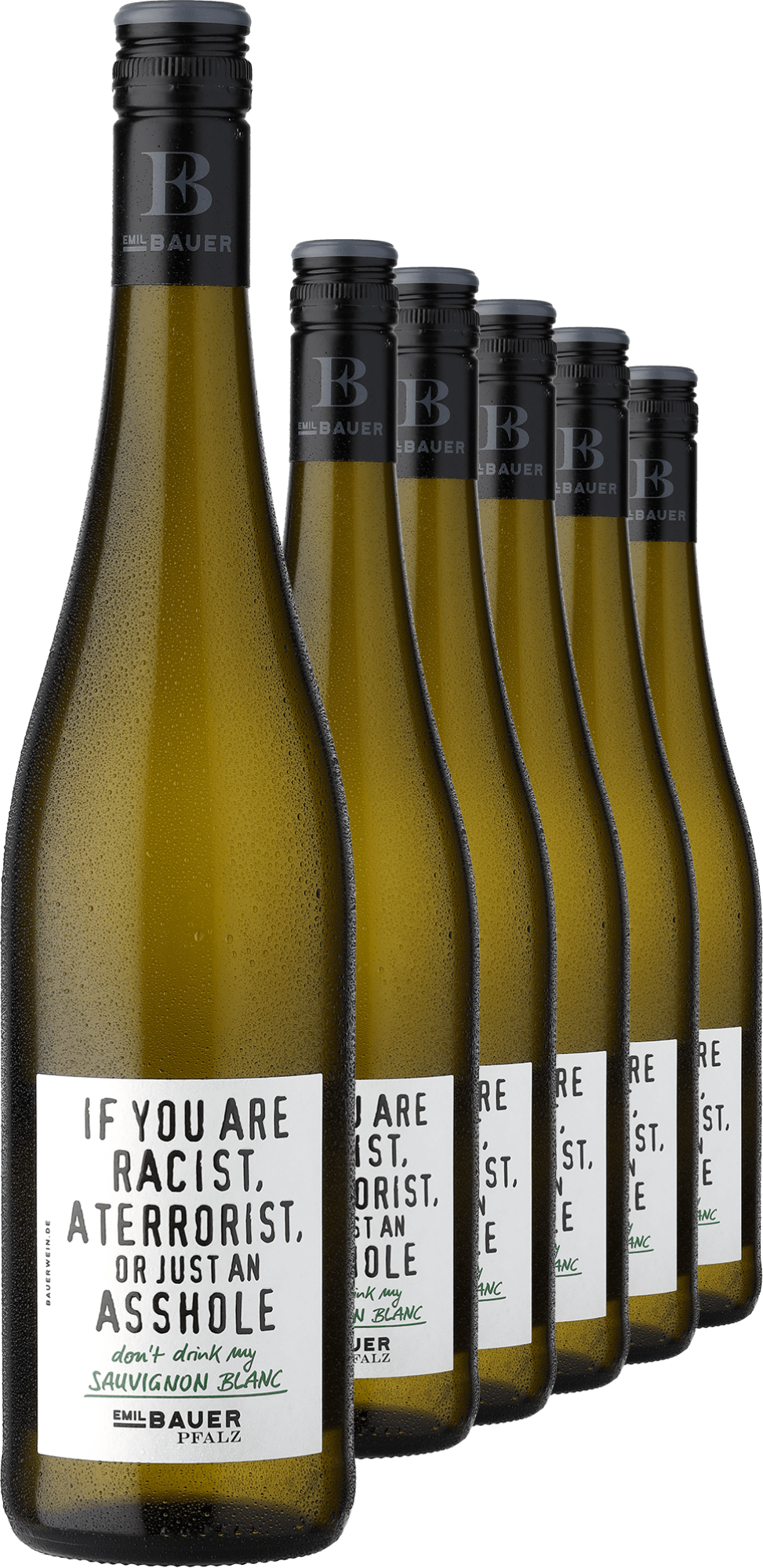 2023 Emil Bauer No Terrorist Sauvignon Blanc im 6er-Vorratspaket 2023 Emil Bauer No Terrorist Sauvignon Blanc im 6er-Vorratspaket von Emil Bauer