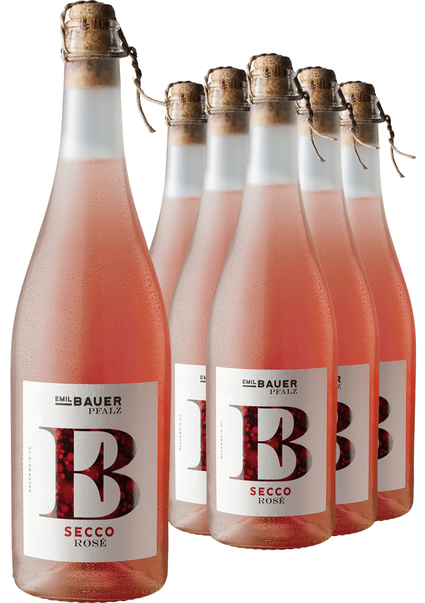 5+1-PAKET Emil Bauer Secco Rosé von Emil Bauer