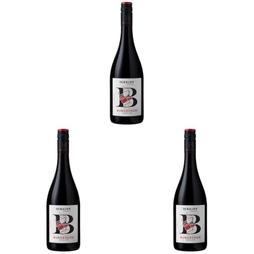 Emil Bauer „Bundschuh“ Merlot, Trockener Rotwein aus der Pfalz (1 x 0.75l) (Packung mit 3) von Emil Bauer