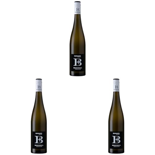 Emil Bauer “Beachball” Viognier, Trockener Weißwein aus der Pfalz (1 x 0.75l) (Packung mit 3) von Emil Bauer