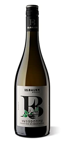 Emil Bauer Nussdorf Grauburgunder, Trockener Weißwein aus der Pfalz (1 x 0.75l) von Emil Bauer