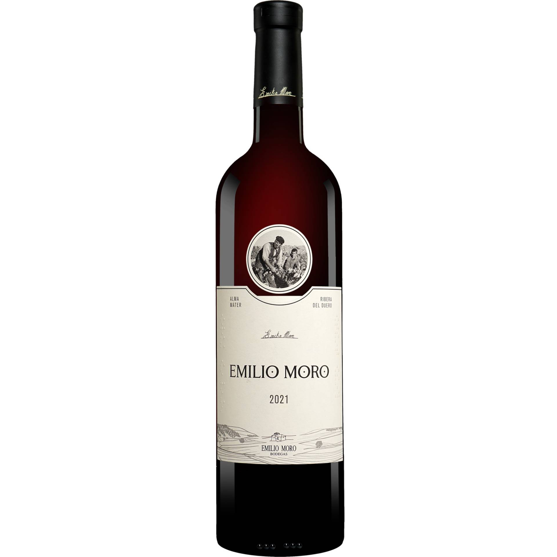 Emilio Moro 2021 0.75L 14.5% Vol. Rotwein Trocken aus Spanien Emilio Moro 2021 0.75L 14.5% Vol. Rotwein Trocken aus Spanien von Emilio Moro
