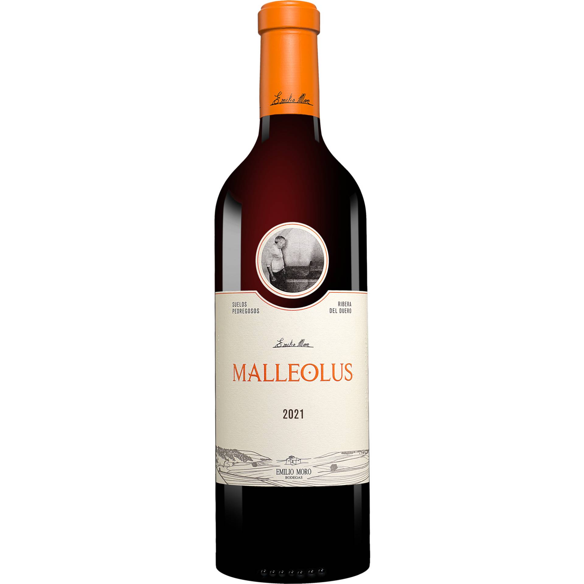 Emilio Moro »Malleolus« 2021 0.75L 14.5% Vol. Rotwein Trocken aus Spanien Emilio Moro »Malleolus« 2021 0.75L 14.5% Vol. Rotwein Trocken aus Spanien von Emilio Moro