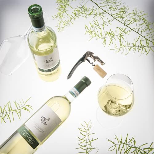 Pinot Grigio Delle Venezie DOC Vitis Nostra 0,75l 12% - 2020 | Enoitalia von Enoitalia