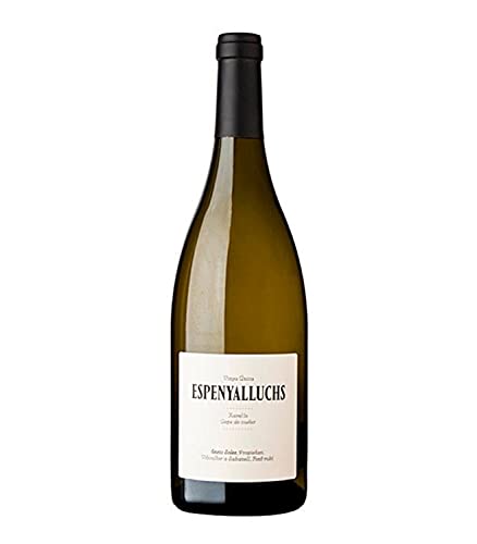Enric Soler Espenyalluchs - 2019 - Enric Soler Espenyalluchs - 2019 - von Enric Soler