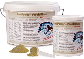 EquiPower Probiotikum 750g EquiPower Probiotikum 750g von Equipower
