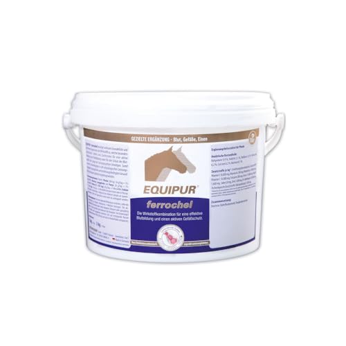 Equipur Ferrochel | 3 kg | Ergänzungsfuttermittel für Pferde zur Blutbildung und Gefäßschutz | Kann Eisenmangel ausgleichen | Könnte Leistungsschwankungen entgegenwirken Equipur Ferrochel | 3 kg | Ergänzungsfuttermittel für Pferde zur Blutbildung und Gefäßschutz | Kann Eisenmangel ausgleichen | Könnte Leistungsschwankungen entgegenwirken von Equipur