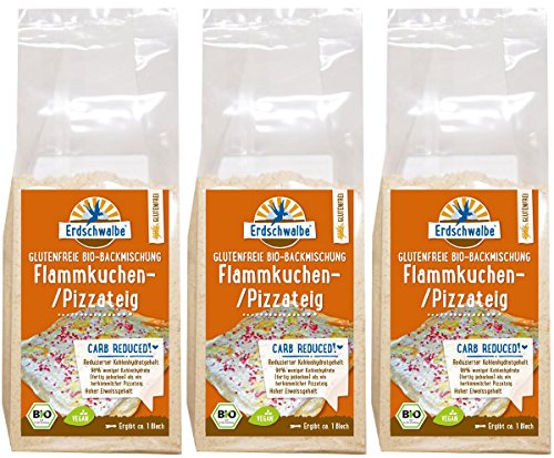 Erdschwalbe Bio Backmischung Flammkuchen-/Pizzateig Glutenfrei - Reduzierter Kohlenhydratgehalt, 3er Pack (3 x 150 g) von Erdschwalbe