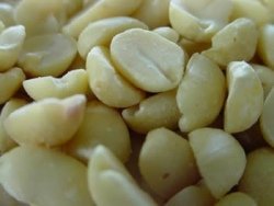 Erdnussbruch ,25 kg im Sack, 25.000g Gebinde Vogelfutter Erdnussbruch ,25 kg im Sack, 25.000g Gebinde Vogelfutter von Erdtmanns