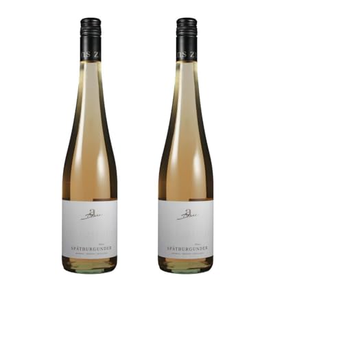 Vorteilspaket Weingut Diehl Spätburgunder Rosé trocken (026) Pfalz Dt. Qualitätswein (2 x 0.75 Liter)/ErnenWein/Wine von ErnenWein