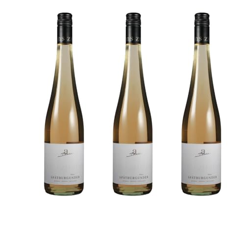 Vorteilspaket Weingut Diehl Spätburgunder Rosé trocken (026) Pfalz Dt. Qualitätswein (3 x 0.75 Liter)/ErnenWein/Wine von ErnenWein