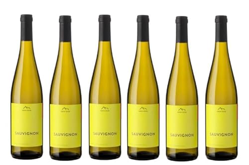 6x 0,75l - 2023er - Erste + Neue - Sauvignon Blanc - Alto Adige D.O.P. - Südtirol - Italien - Weißwein trocken 6x 0,75l - 2023er - Erste + Neue - Sauvignon Blanc - Alto Adige D.O.P. - Südtirol - Italien - Weißwein trocken von Erste + Neue