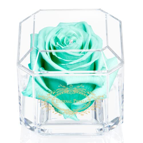 Eine 100% echte Rose, die jahrelang hält – ewige Blütenblätter, handgefertigt in Großbritannien, goldfarbenes Solo mit einem klaren Swarovski-Kristall (Minze) von Eternal Petals