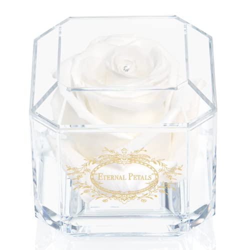 Eternal Petals Eine 100% echte Rose, die jahrelang hält, handgefertigt in Großbritannien - Gold Solo mit einem klaren Swarovski-Kristall (weiß) von Eternal Petals
