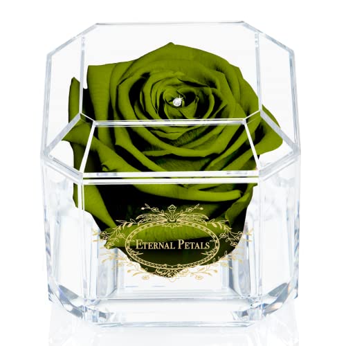 Eine 100% echte Rose, die jahrelang hält – ewige Blütenblätter, handgefertigt in Großbritannien – Gold Solo mit einem klaren Swarovski-Kristall (Khaki) von Eternal Petals