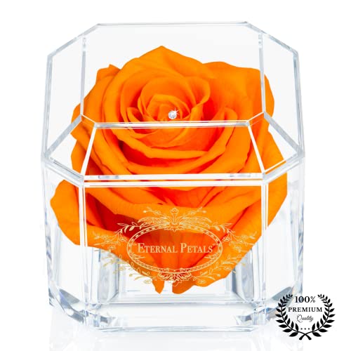 Eternal Petals Eine 100% echte Rose, die Jahre hält, handgefertigt in Großbritannien - Gold Solo mit einem klaren Swarovski-Kristall (Orange) von Eternal Petals