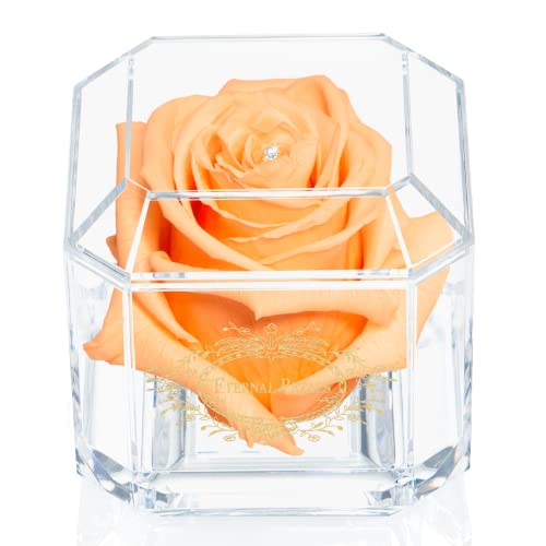 Eternal Petals Eine 100% echte Rose, die Jahre hält, handgefertigt in Großbritannien - Gold Solo mit einem klaren Swarovski-Kristall (Pfirsich) von Eternal Petals