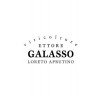 Ettore Galasso 2017 Torre Galasso Montepulciano d´Abruzzo Riserva DOC trocken von Ettore Galasso