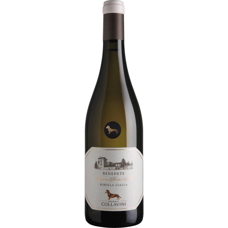 Benedete Ribolla Gialla, Gialla IGT delle Venezie, Friaul, 2023, Weißwein von Eugenio Collavini Viticoltori,33040,Corno di Rosazzo ( UD ),Italien