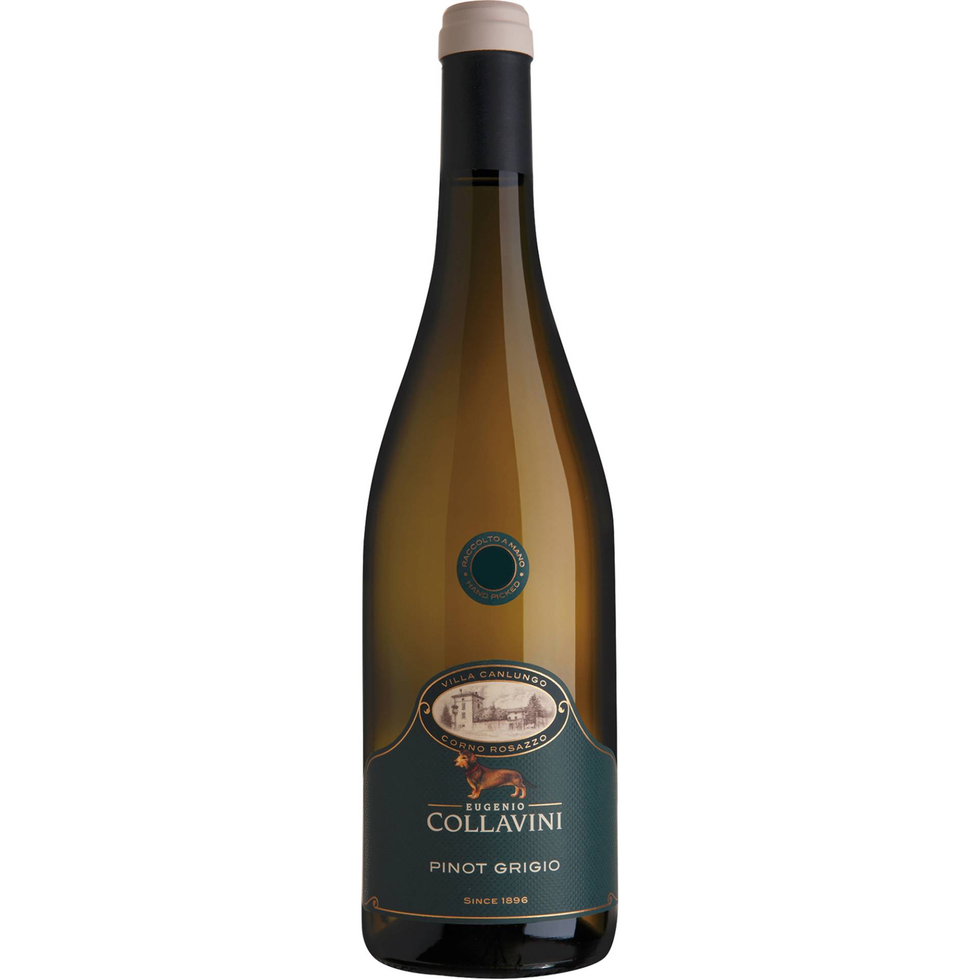 Collavini Villa Canlungo Pinot Grigio, Friaul DOC, Friaul, 2023, Weißwein von Eugenio Collavini Viticoltori,33040,Corno di Rosazzo ( UD ),Italien