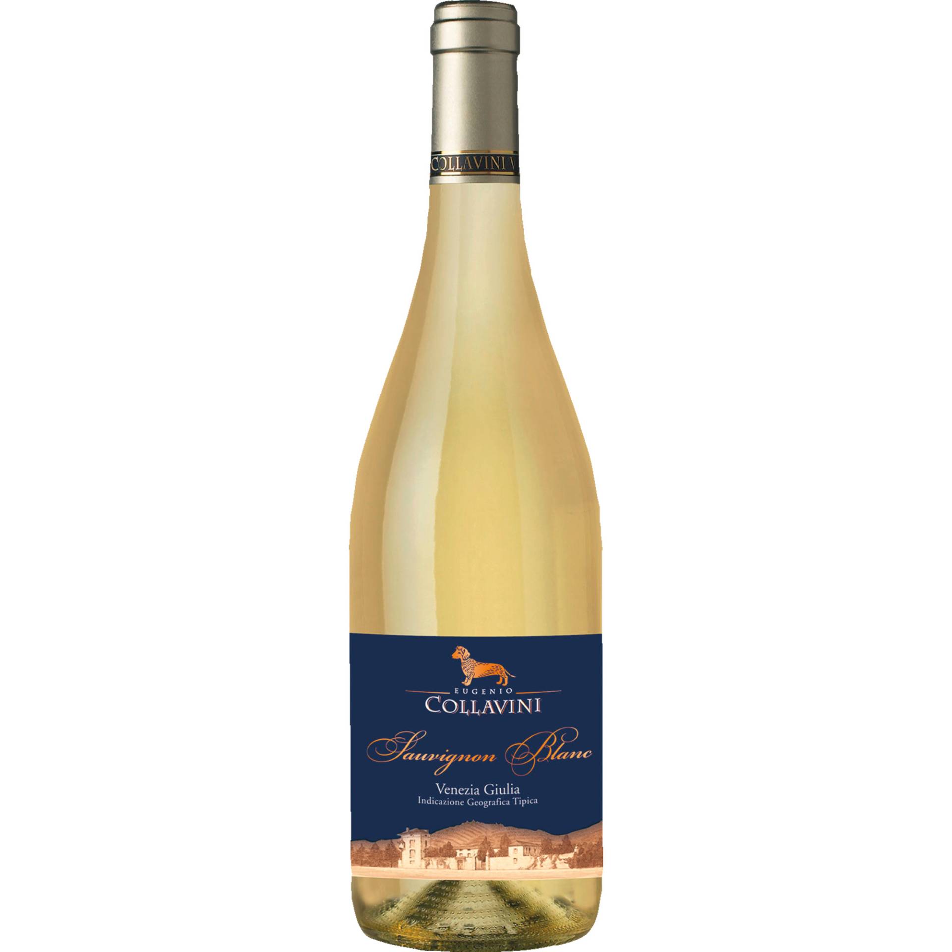 Sauvignon Blanc, Venezia Giulia, Friaul, 2023, Weißwein von Eugenio Collavini Viticoltori,33040,Corno di Rosazzo ( UD ),Italien
