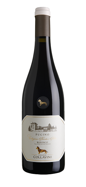 "Pucino" Refosco dal Peduncolo Rosso DOC 2023 von Eugenio Collavini Viticoltori