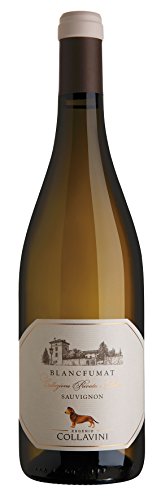 6x 0,75l - 2018er - Eugenio Collavini - Blancfumat - Sauvignon Blanc - Collio D.O.C. - Friaul - Italien - Weißwein trocken von Eugenio Collavini