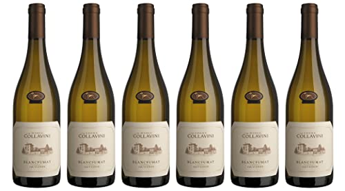 6x 0,75l - 2023er - Eugenio Collavini - Blancfumat - Sauvignon Blanc - Collio D.O.P. - Friaul - Italien - Weißwein trocken 6x 0,75l - 2023er - Eugenio Collavini - Blancfumat - Sauvignon Blanc - Collio D.O.P. - Friaul - Italien - Weißwein trocken von Eugenio Collavini