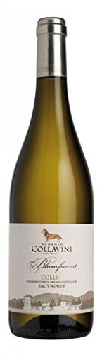 Eugenio Collavini Sauvignon Blancfumat Collio DOC 2012 (3 x 0.75 l) von Eugenio Collavini