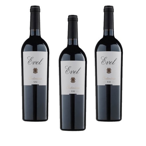 Evel XXI - Rotwein - 3 Flaschen Evel XXI - Rotwein - 3 Flaschen von Evel