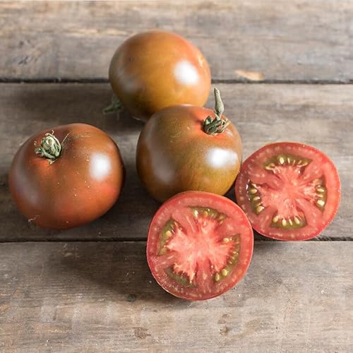 Tomate Black Prince - Tomate schwarzer Prinz - 10 Samen Tomate Black Prince - Tomate schwarzer Prinz - 10 Samen von Exotic Plants