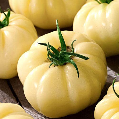 Tomate Great White - Tomate grosse Weisse – 15 Samen Tomate Great White - Tomate grosse Weisse – 15 Samen von Exotic Plants