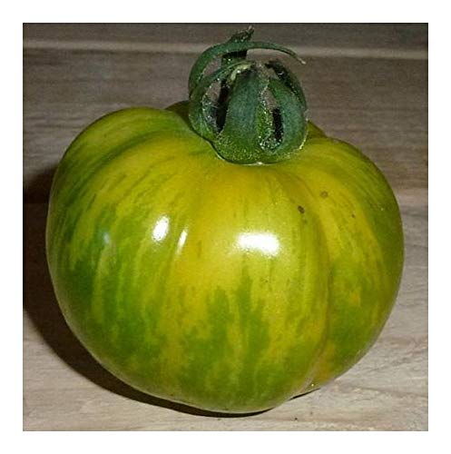 Tomate Green Zebra - Tomate grünes Zebra - Tomaten Samen - 15 Samen Tomate Green Zebra - Tomate grünes Zebra - Tomaten Samen - 15 Samen von Exotic Plants