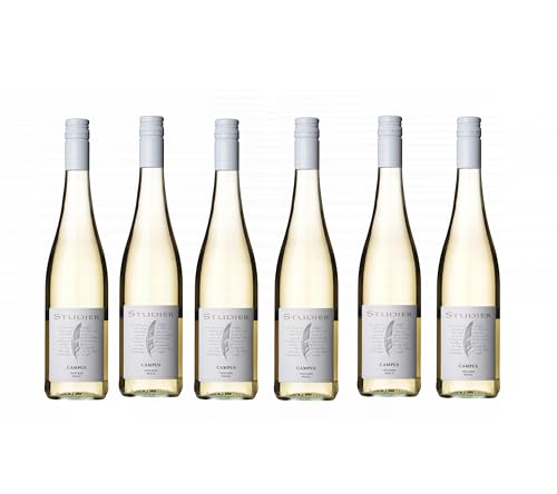 6 er Campus 2023 | Weingut Studier | Weißwein aus der Pfalz | trocken | 6 x 0,75 l von FABELHAFTE GESCHENKE