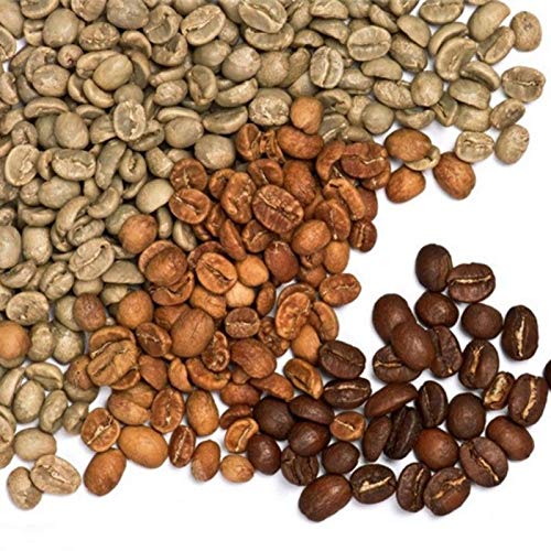 Portal Cool 100 Samen: bohne Saatsamen - Jamaica Blue Mountain Coffee B 50/100 Samen/Beutel Portal Cool 100 Samen: bohne Saatsamen - Jamaica Blue Mountain Coffee B 50/100 Samen/Beutel von FASH LADY
