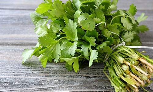 Portal Cool 1000 Samen Cilantro Herb Spice Slow Bolt Organisches Gemüse Erbstück Thai D563 Portal Cool 1000 Samen Cilantro Herb Spice Slow Bolt Organisches Gemüse Erbstück Thai D563 von FASH LADY