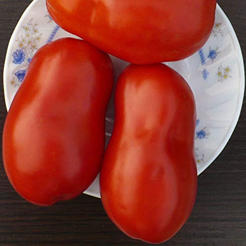 Portal Cool Gemüsesamen Tomate-Riese-italienische Paste organisch gewachsenes Erbstück nicht-GVO Portal Cool Gemüsesamen Tomate-Riese-italienische Paste organisch gewachsenes Erbstück nicht-GVO von FASH LADY