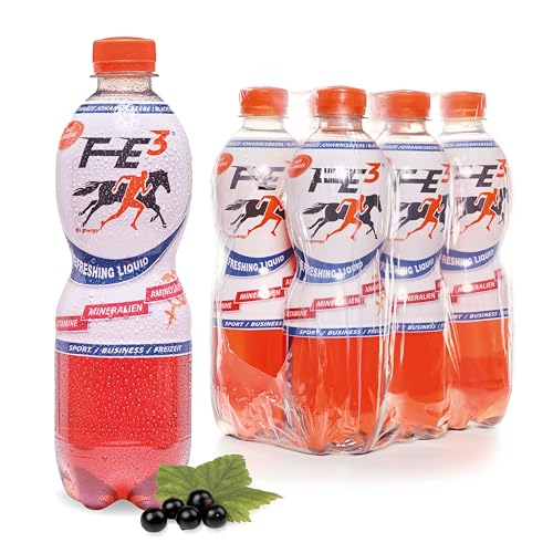 FE³ by Fix Energy im Vorratspack (6 x 500ml) – Johannisbeer-Geschmack, mit Koffein, D-Ribose, Mineralien, Vitaminen & Aminosäuren – Erfrischend für Sport, Freizeit & Business von FE³