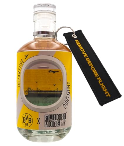 BVB GIN X FLIGHT MODE | 0,5 L Dortmund Edition | Himbeere und Hopfen | mit frischen Noten von Waldmeister und Kirsche | World Gin Awards Silber 2024 von FLIGHT MODE GIN