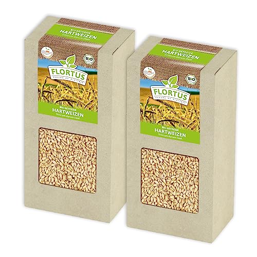 FLORTUS BIO Hartweizen Getreide Samen 400g | Weizen zur Herstellung von Weizenkleie Nudeln Couscous Smoothie Katzengras & Microgreens | Sprossen Samen von FLORTUS Freude an Vielfalt
